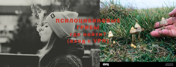 шишки Верхнеуральск