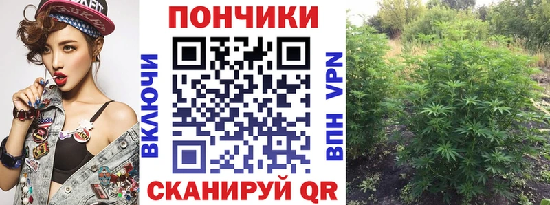 Бошки Шишки Amnesia  цена наркотик  Новороссийск 